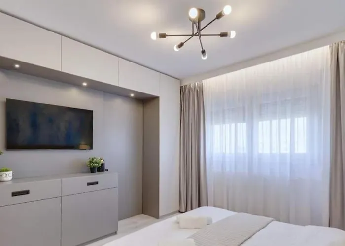 Government Deluxe By Magic